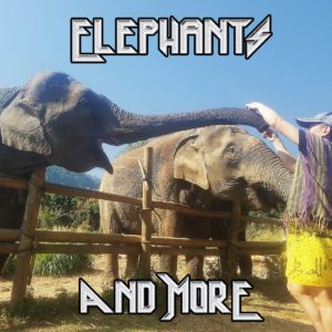 Elephants and More